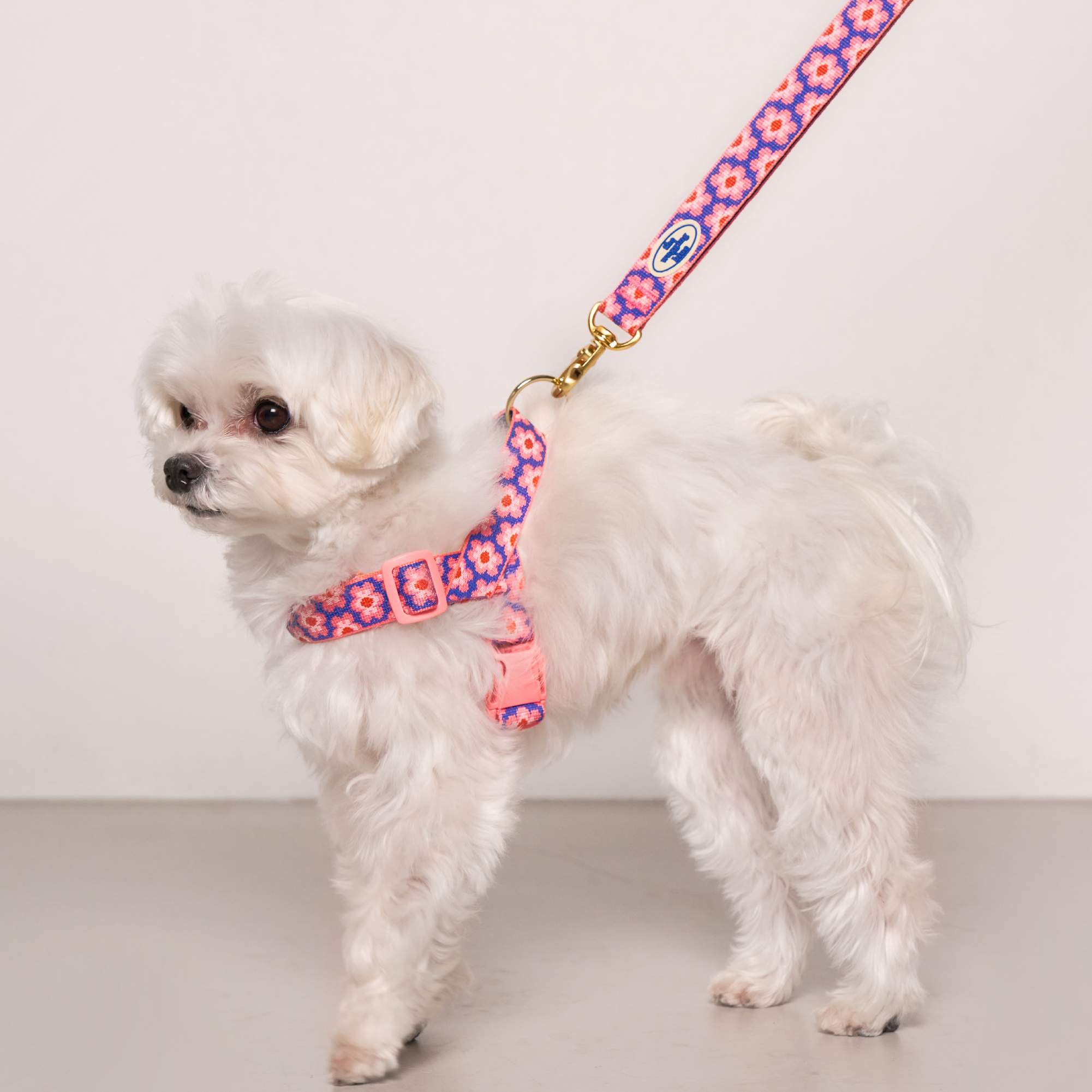 ボドルパディング