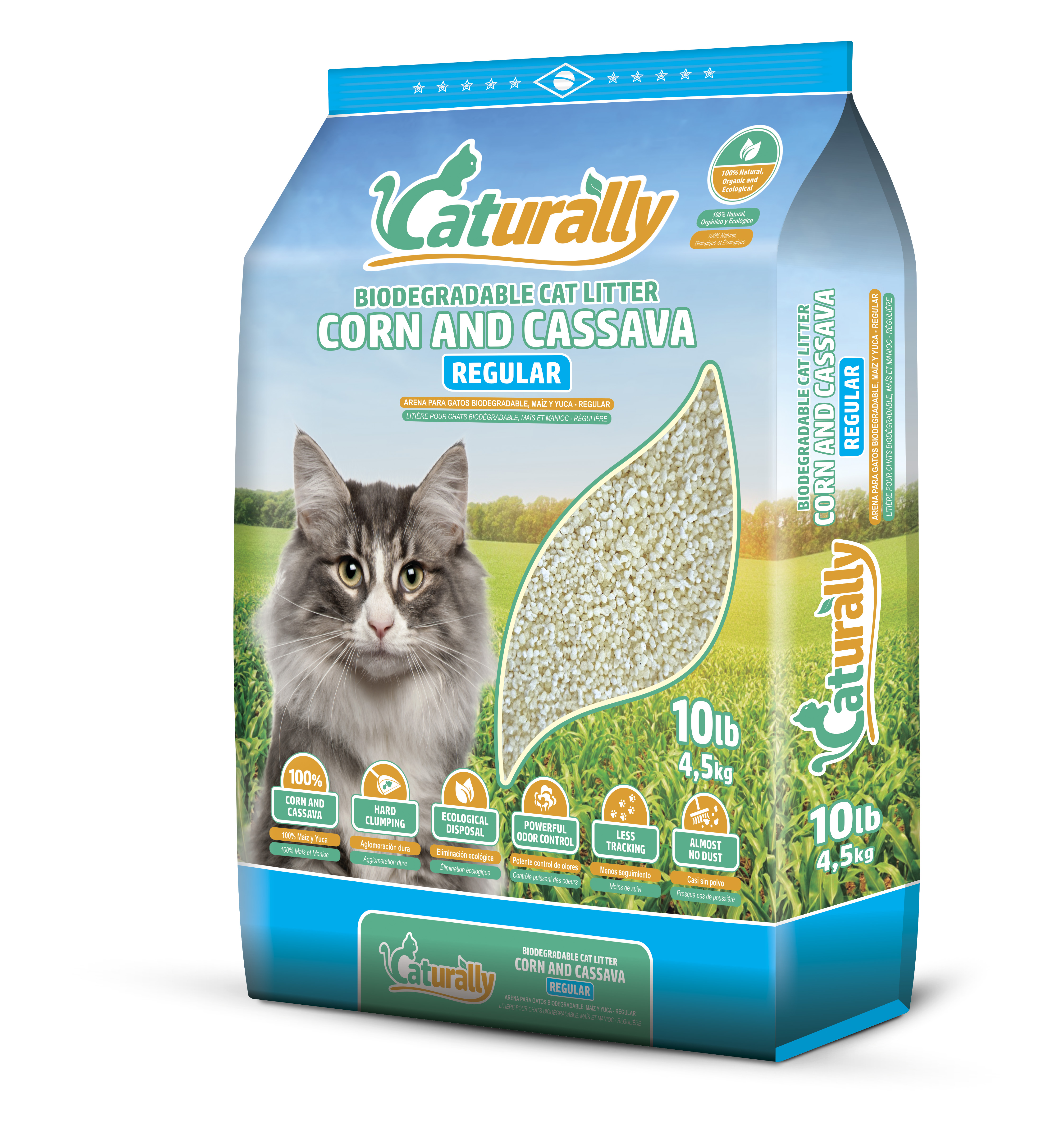 ボドルパディング