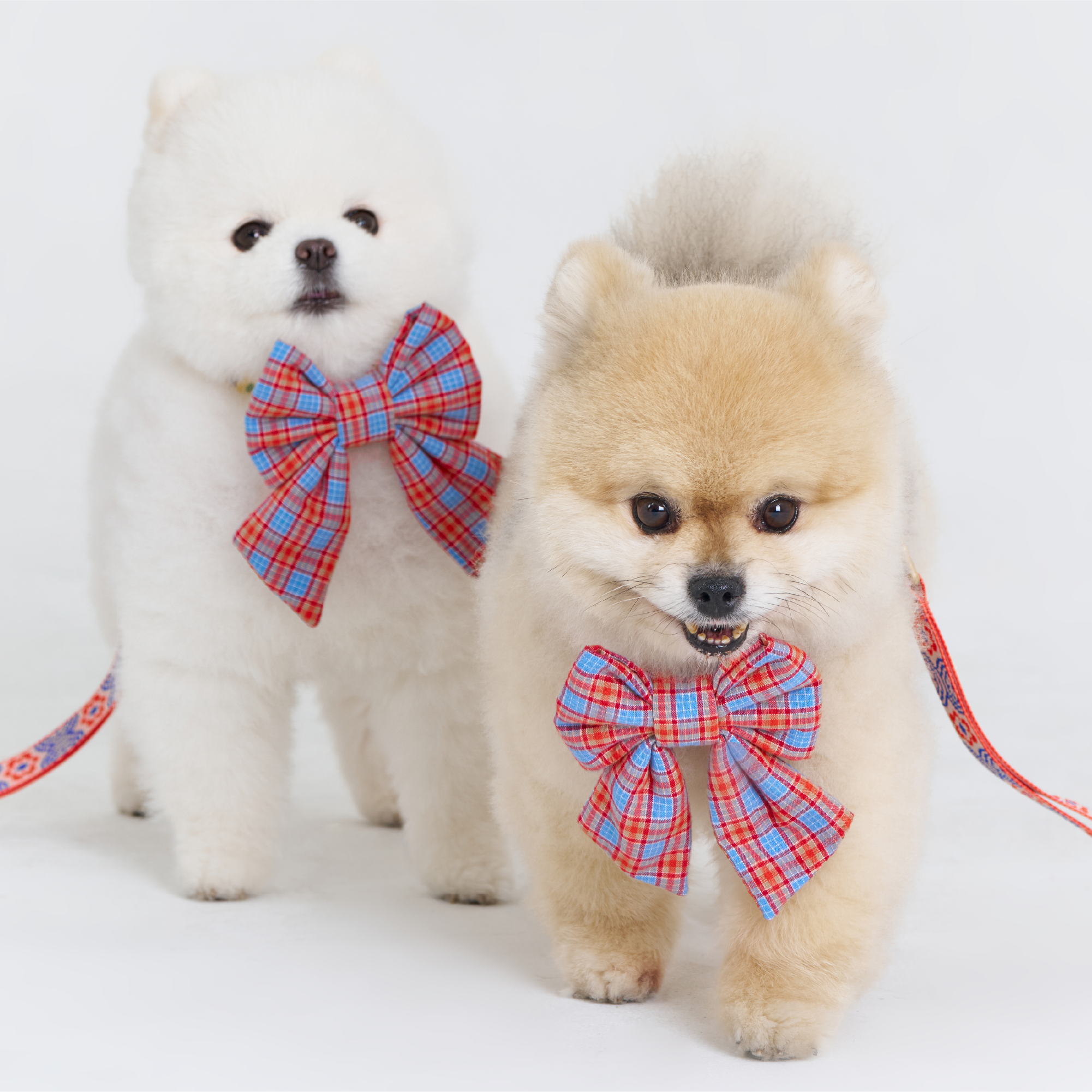 リボンパディングハーネス