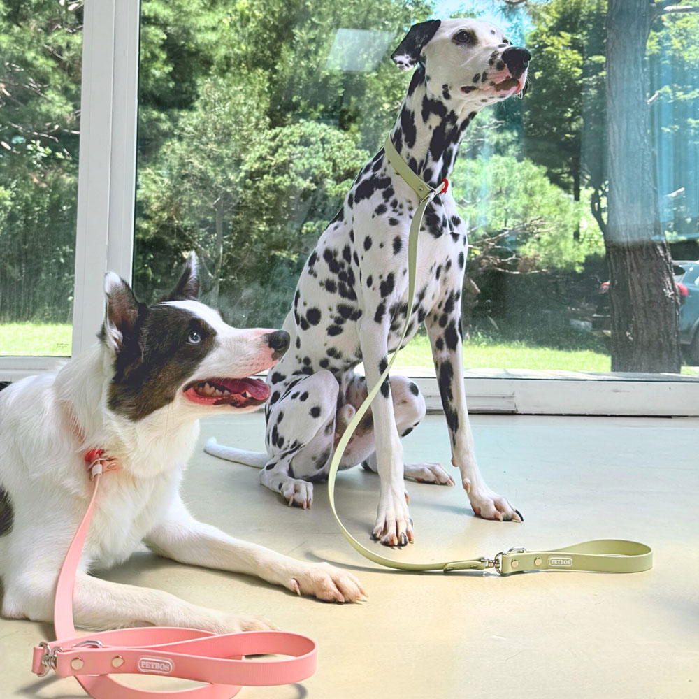 Summa-TPU-Silp-Leash-1