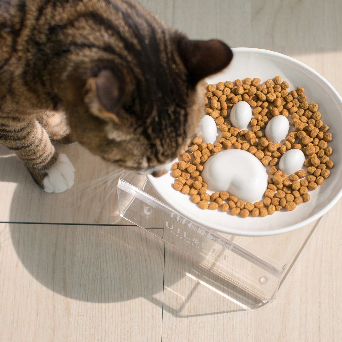 リボンパディングハーネス