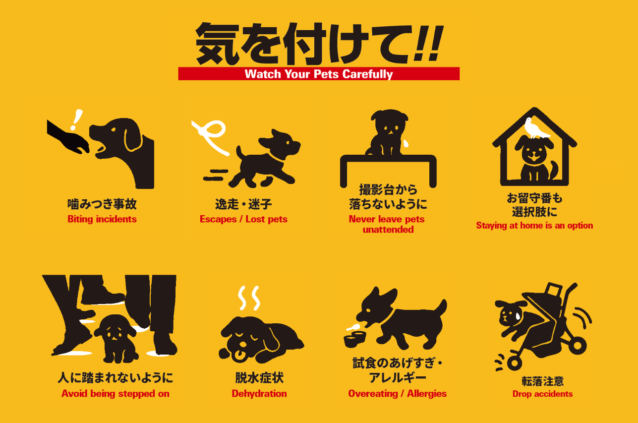 スクリーンショット2026